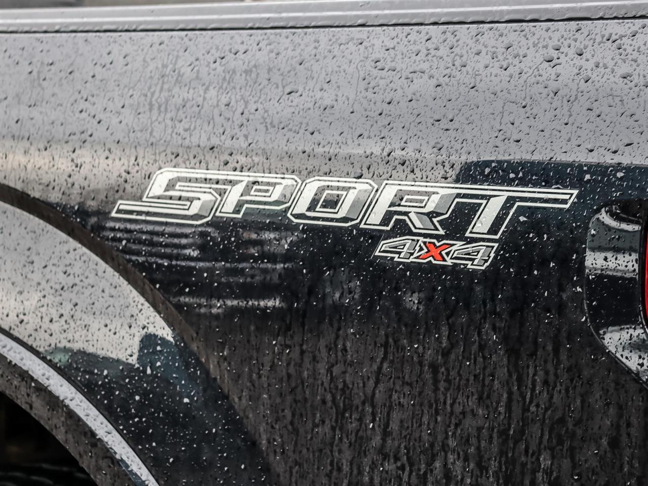 2017 Ford F-150 XLT | You Safety it You Save | Photo