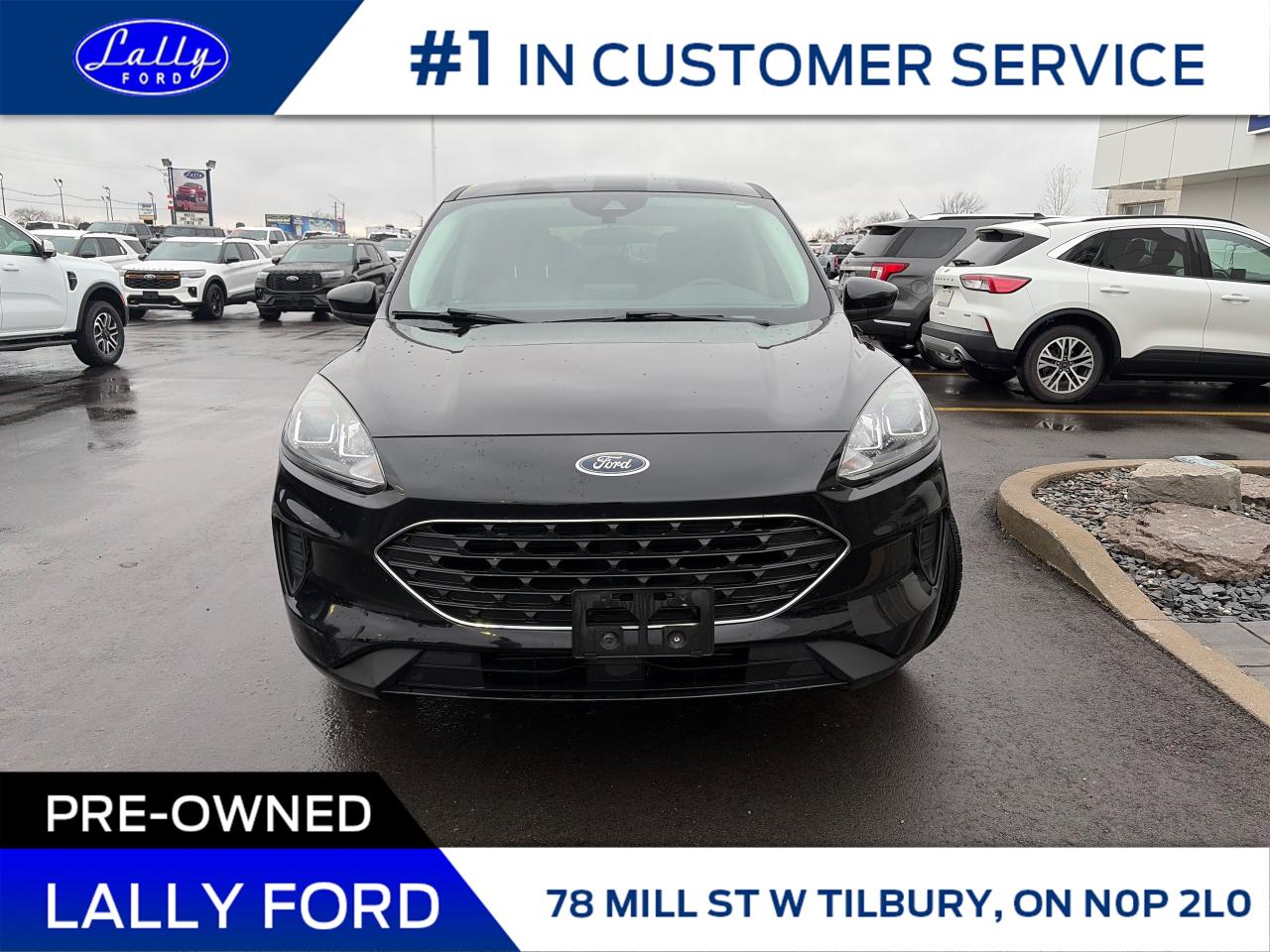 2022 Ford Escape SE AWD, Nav, Power Liftgate, One Owner! Photo