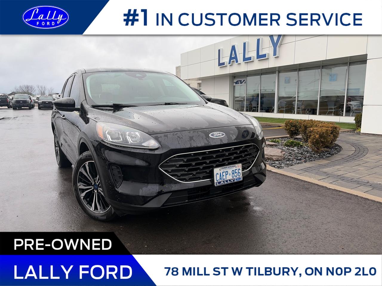 Used 2022 Ford Escape SE AWD, Nav, Power Liftgate, One Owner! for sale in Tilbury, ON