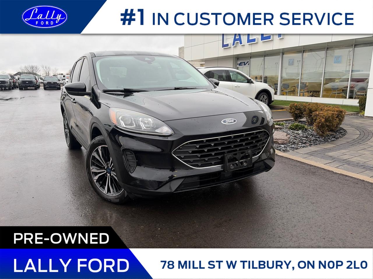 2022 Ford Escape SE AWD, Nav, Power Liftgate, One Owner! Photo