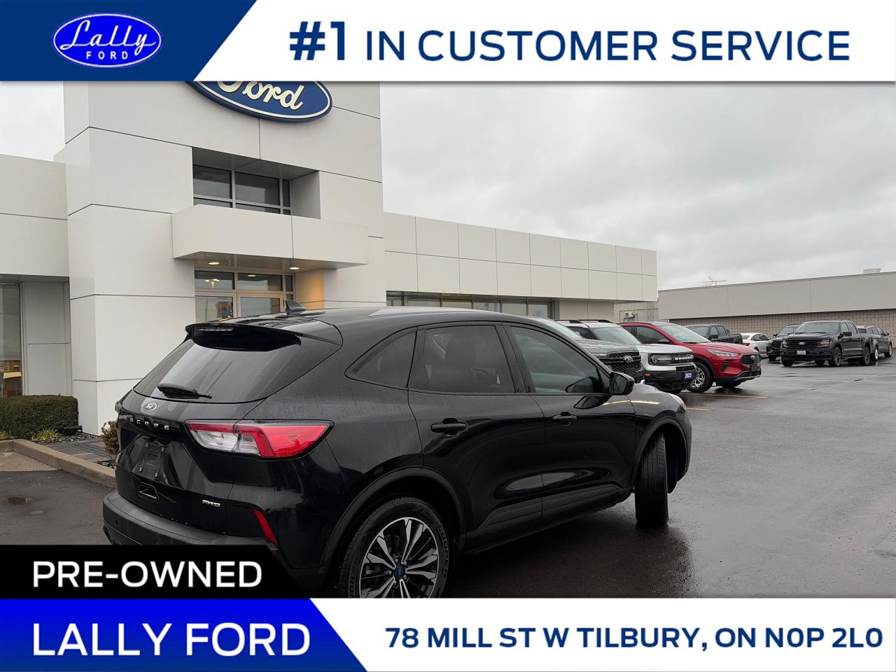 2022 Ford Escape SE AWD, Nav, Power Liftgate, One Owner! Photo4