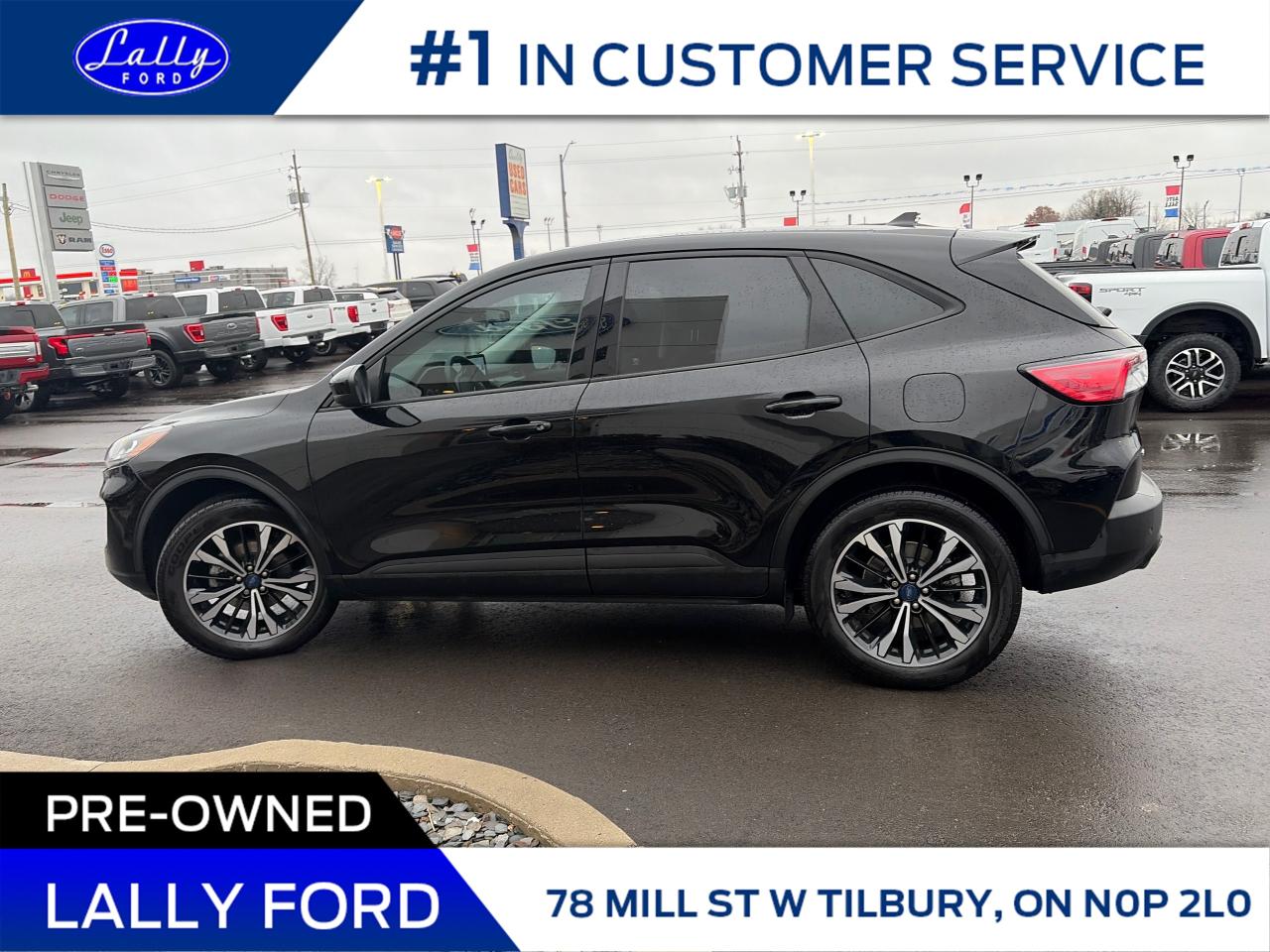 2022 Ford Escape SE AWD, Nav, Power Liftgate, One Owner! Photo