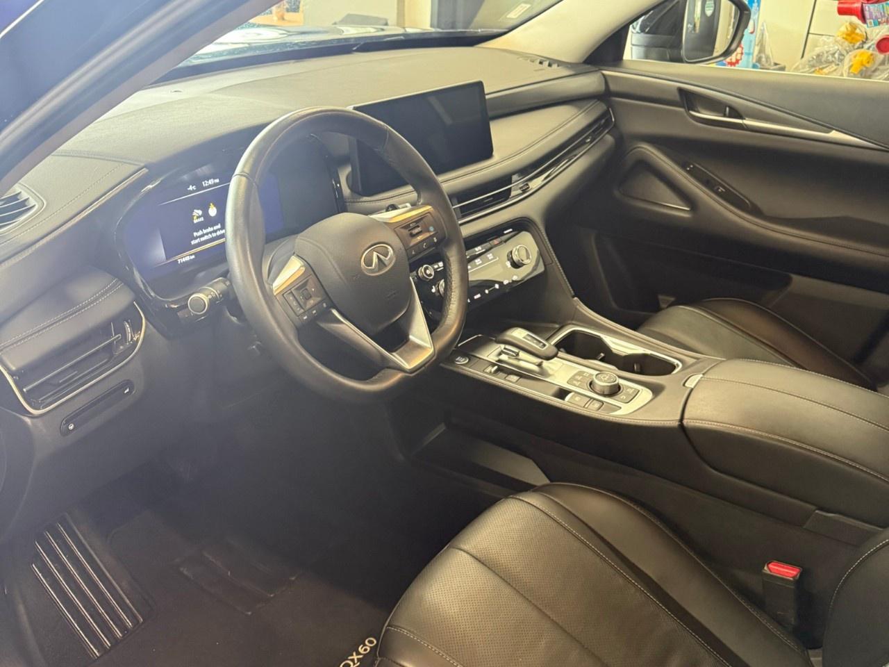 2025 Infiniti QX60 LUXE Photo