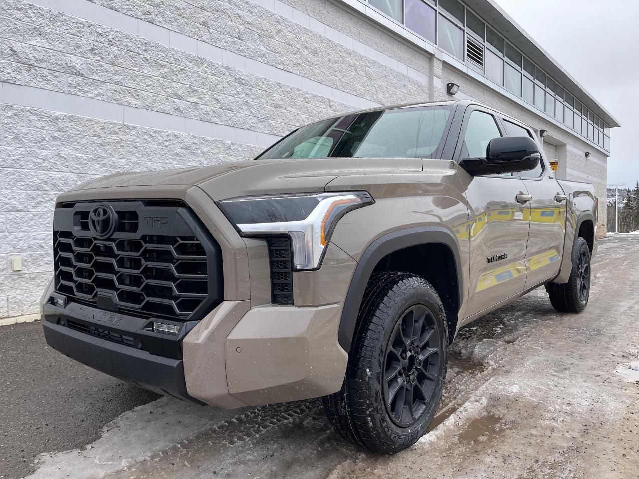 2026 Toyota Tundra Limited TRD OFFROAD Photo0