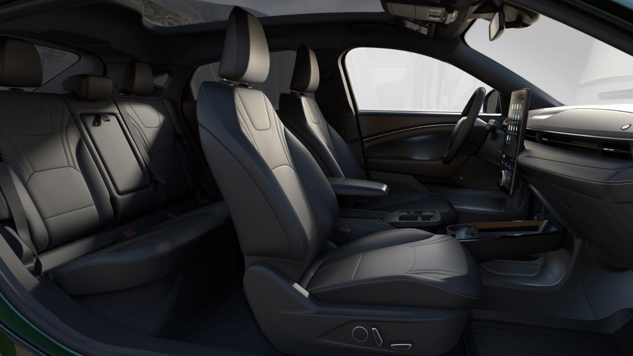 2025 Ford Mustang Mach-E Premium Photo