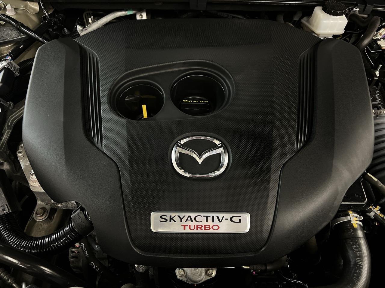 2024 Mazda CX-50 MERIDIAN AWD | COOLED LEATHER | PANO ROOF | 256HP Photo