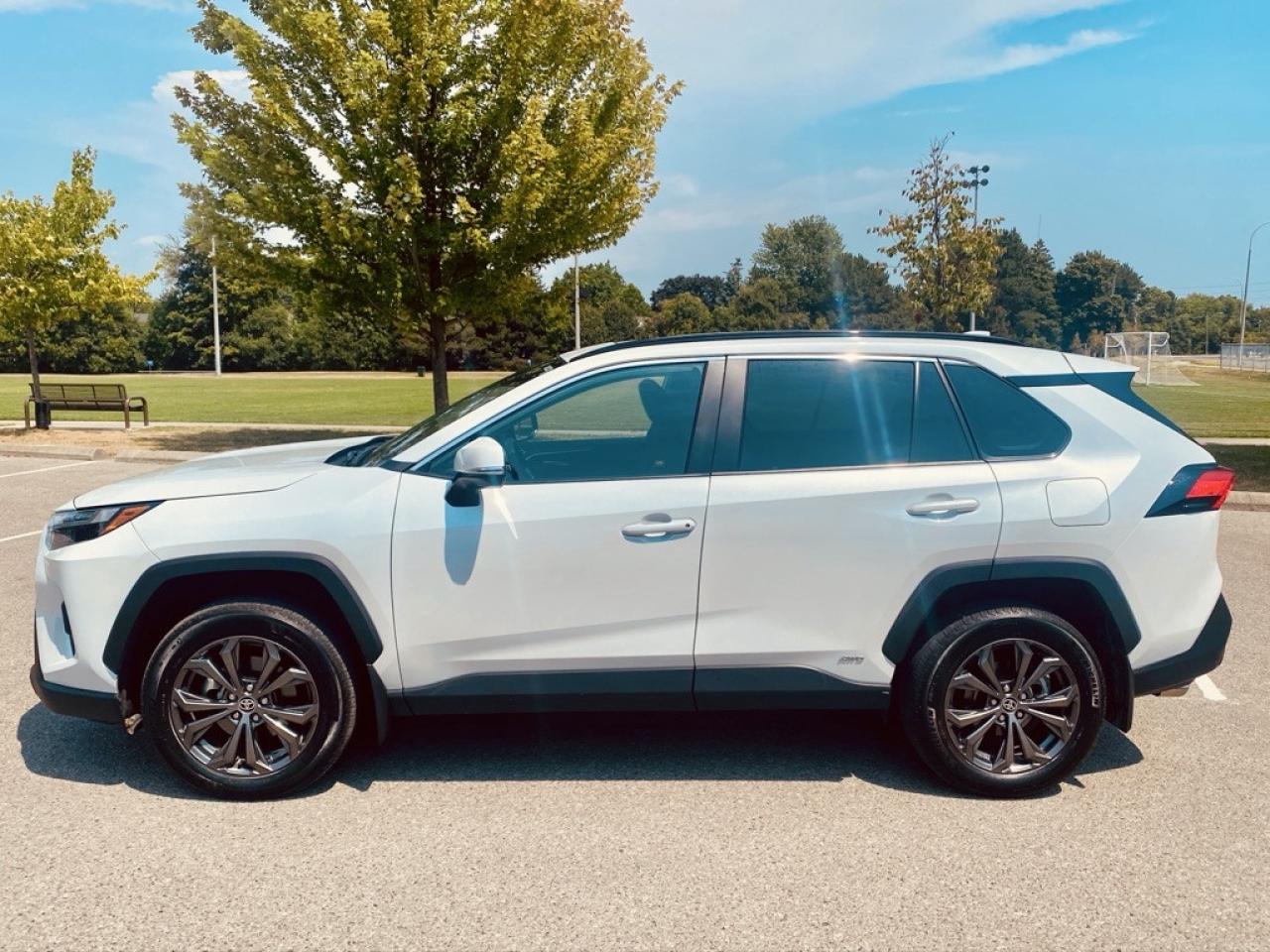 2024 Toyota RAV4 Hybrid XLE 4dr All Wheel Drive CVT Photo2