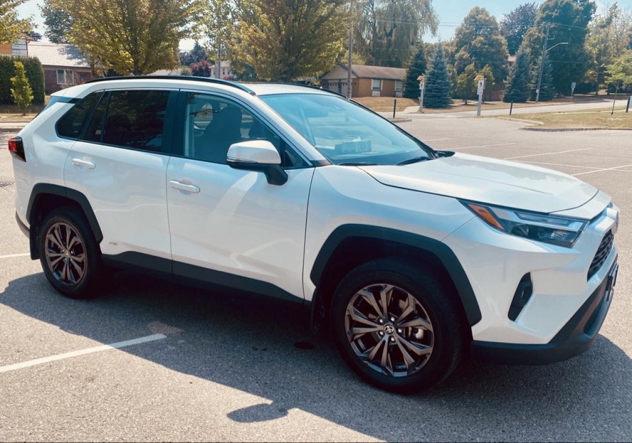 2024 Toyota RAV4 Hybrid XLE 4dr All Wheel Drive CVT Photo