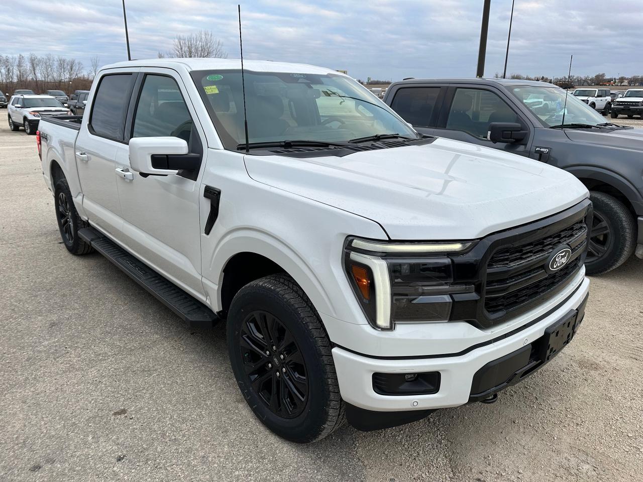 2025 Ford F-150 Lariat 4WD SuperCrew 5.5' Box Photo2