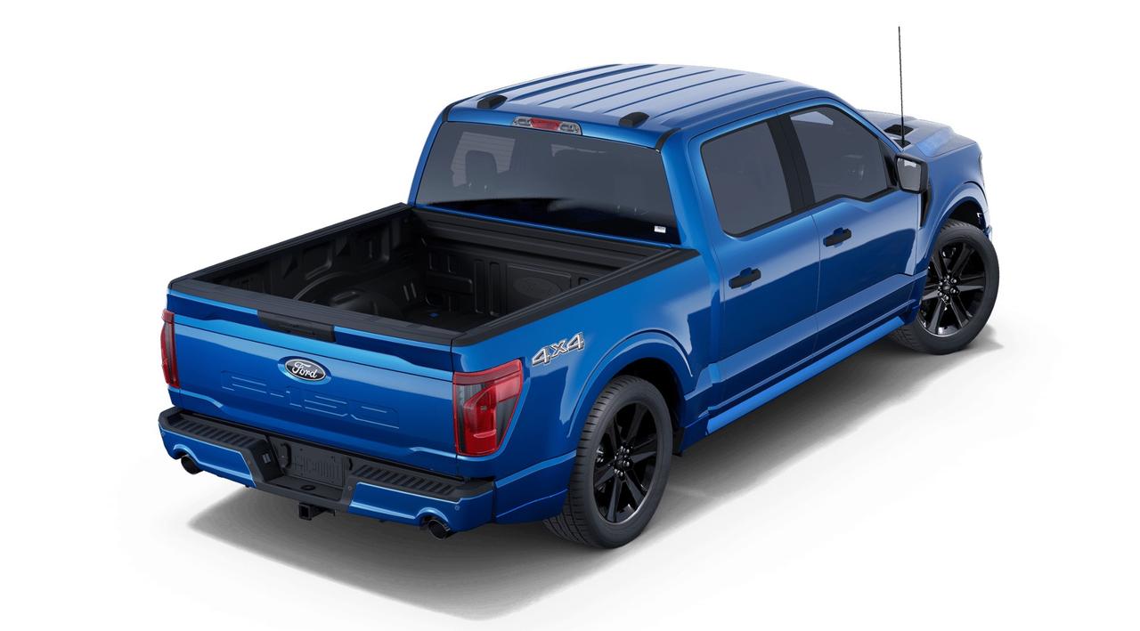 2025 Ford F-150 STX Photo