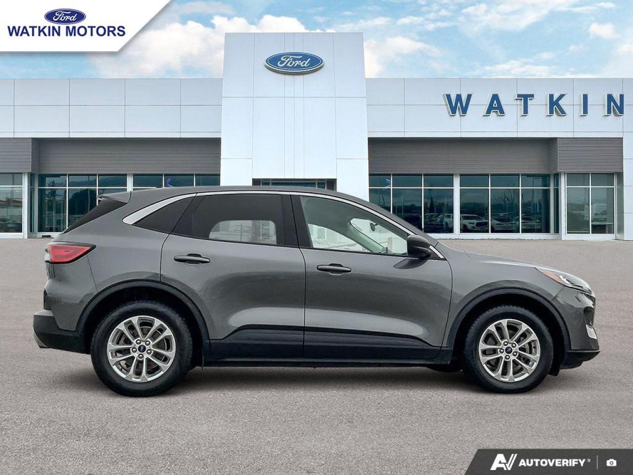 2022 Ford Escape SE Hybrid FWD Photo5