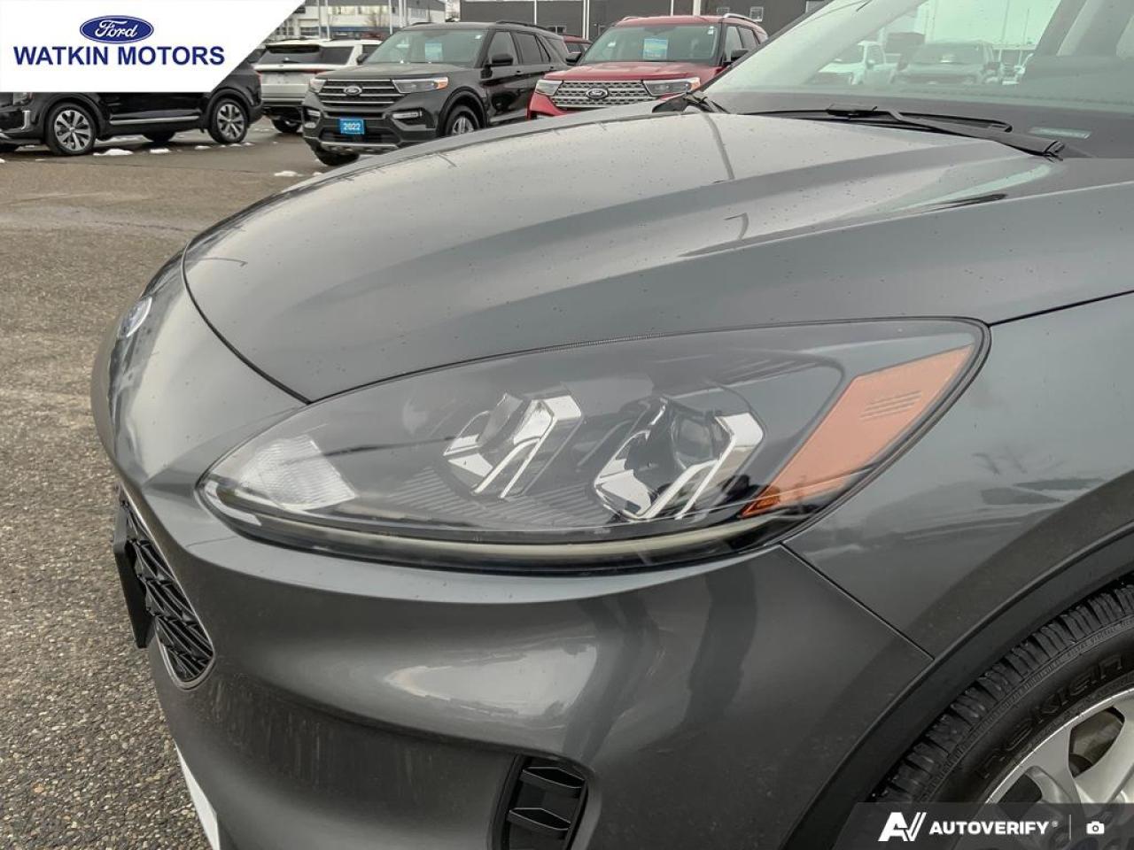 2022 Ford Escape SE Hybrid FWD Photo10