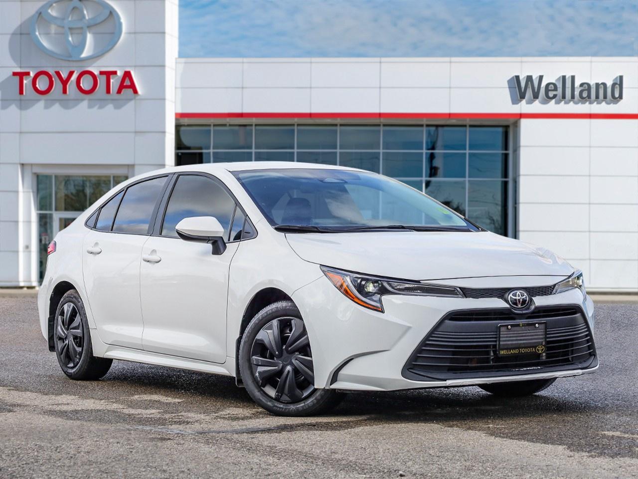 2024 Toyota Corolla LE Photo
