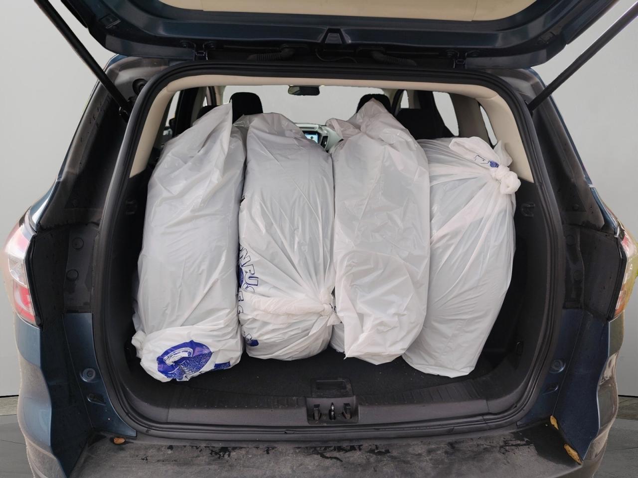 2018 Ford Escape SE Photo