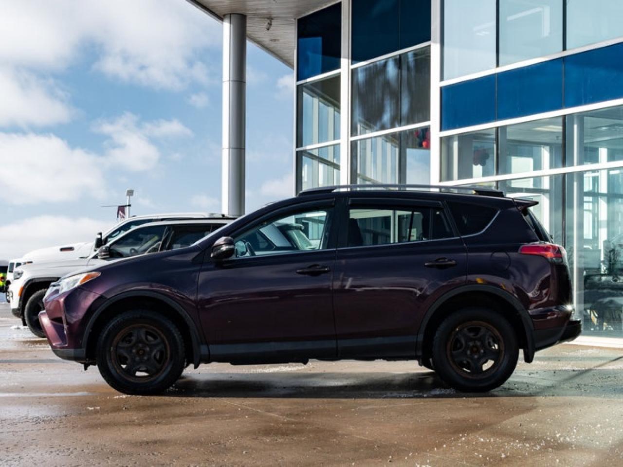 2018 Toyota RAV4 XLE Photo