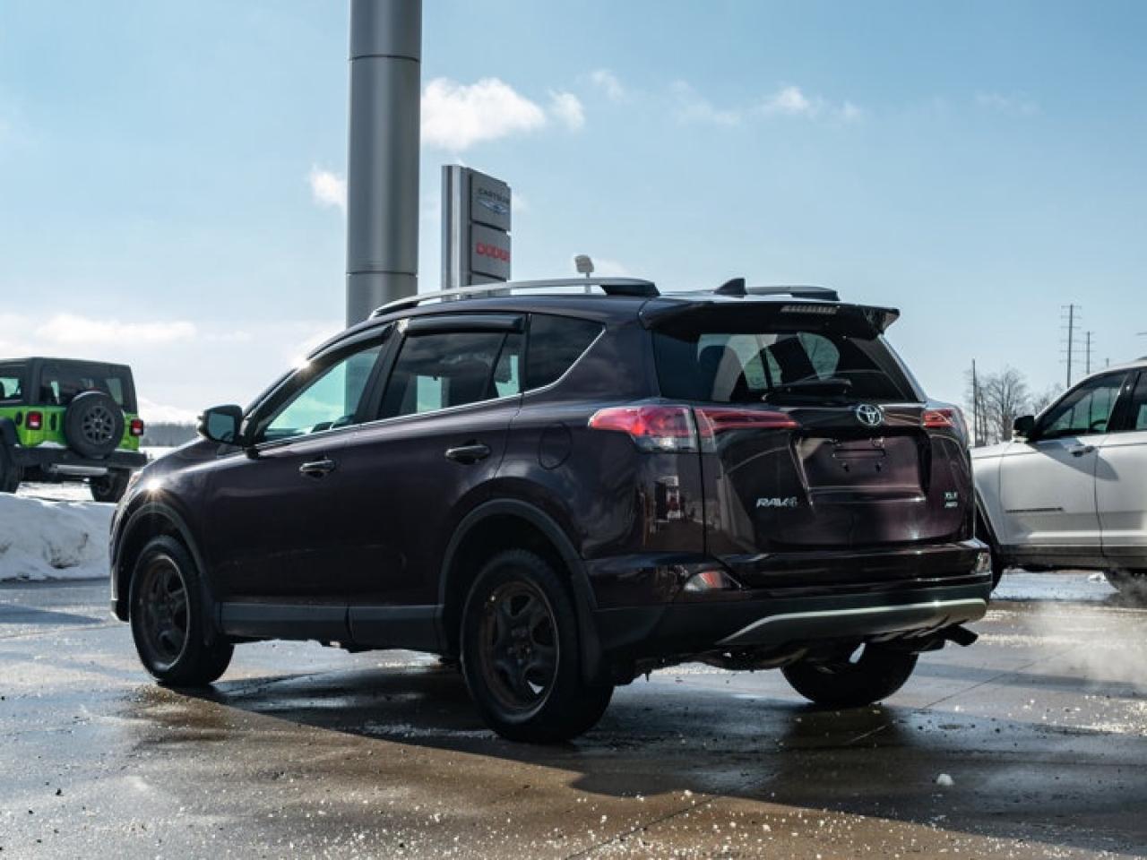 2018 Toyota RAV4 XLE Photo