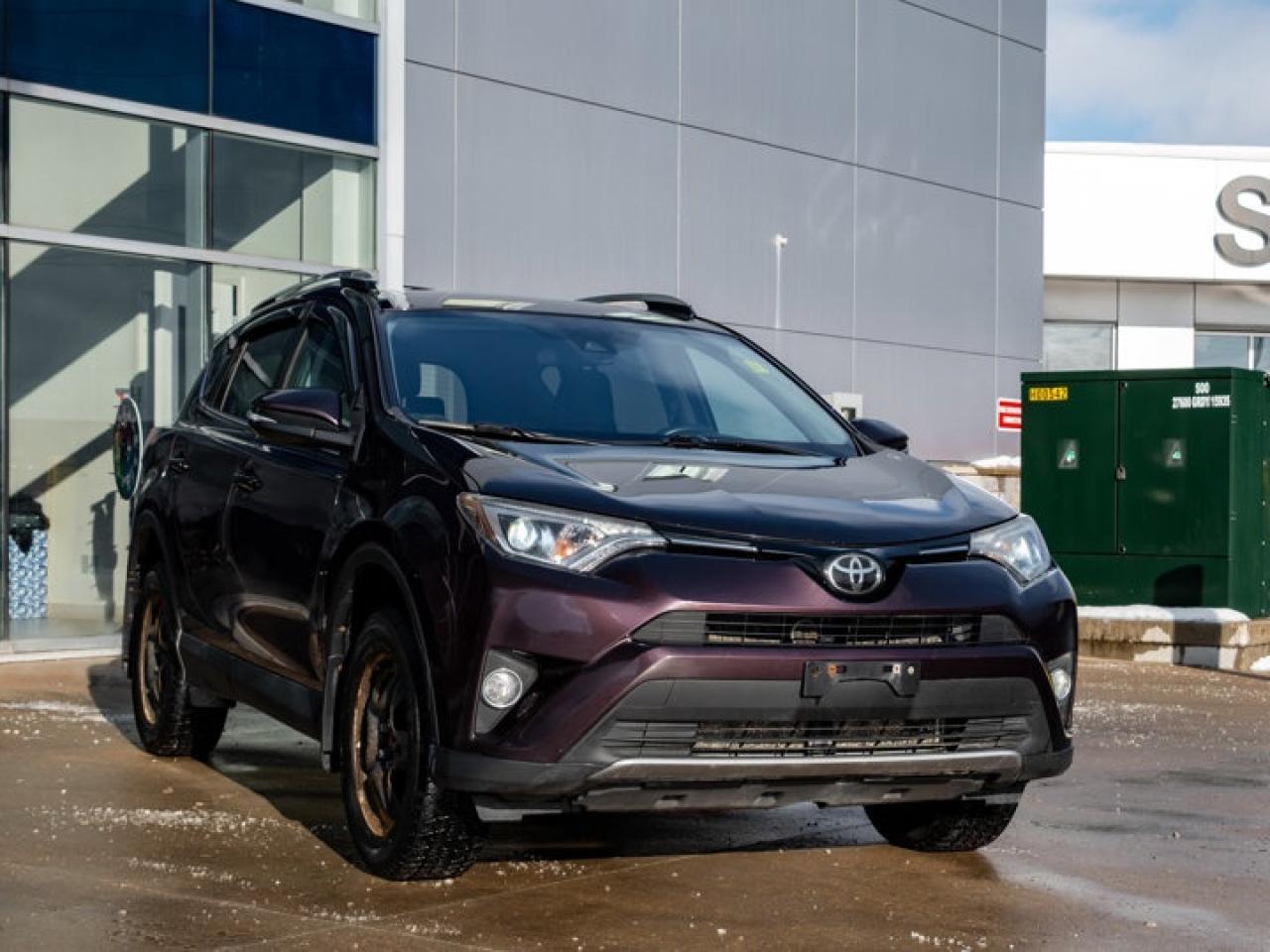 2018 Toyota RAV4 XLE Photo