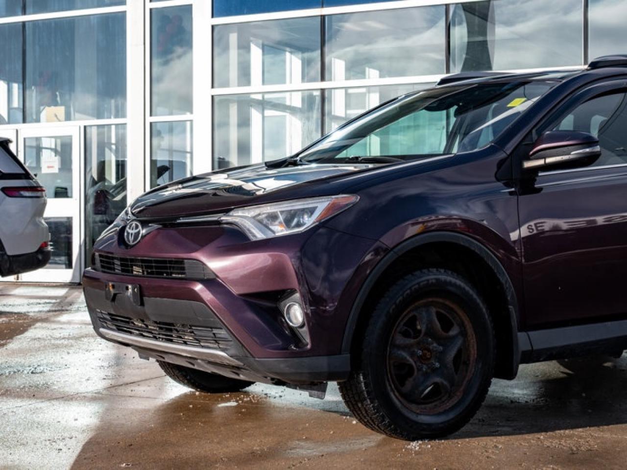 2018 Toyota RAV4 XLE Photo