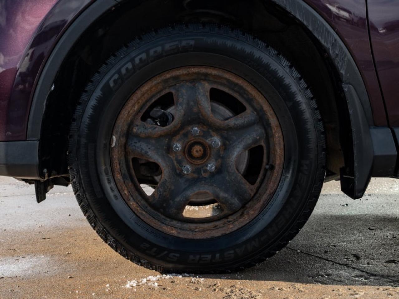 2018 Toyota RAV4 XLE Photo