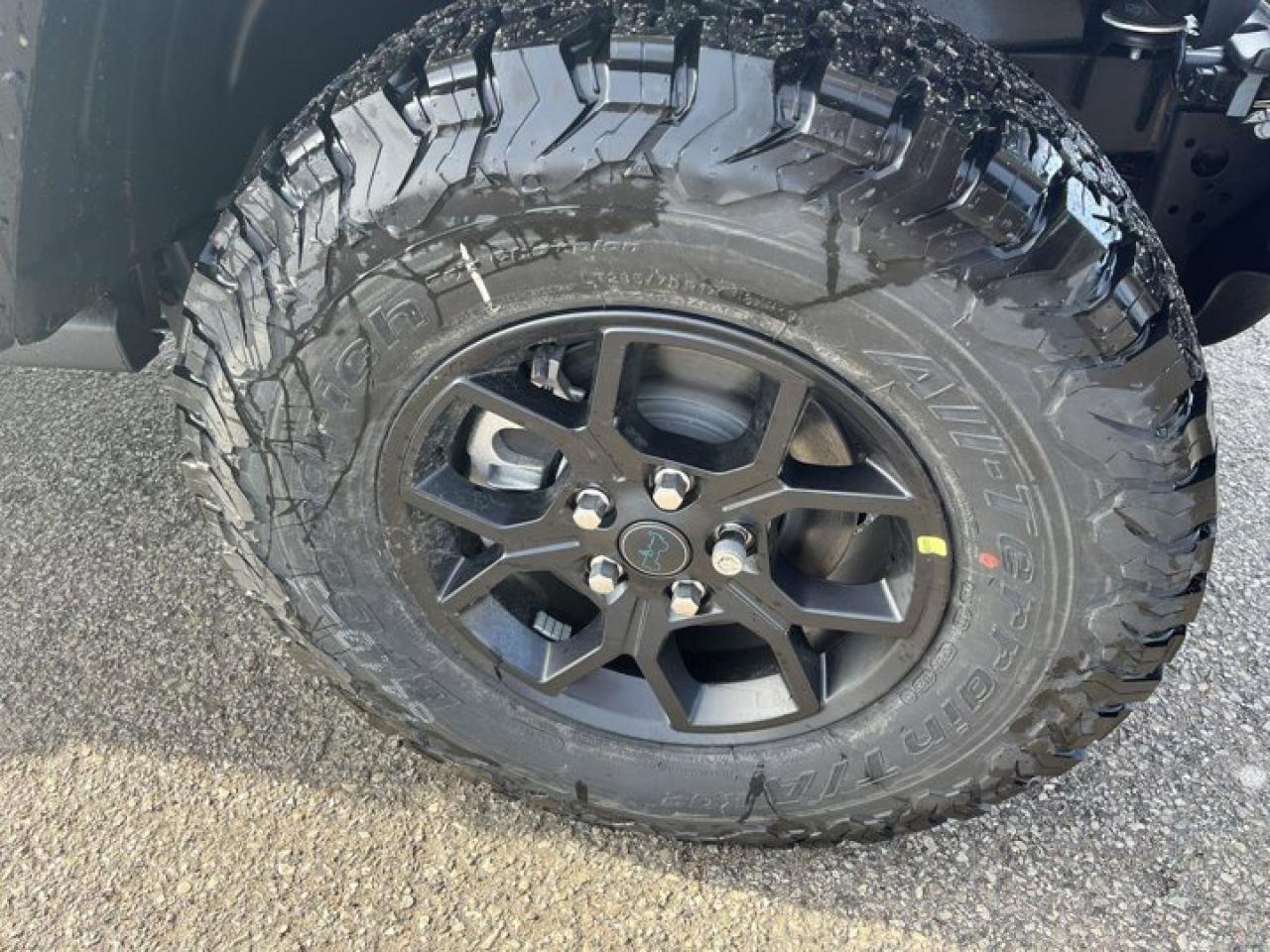 2024 Jeep Wrangler 4xe Willys Photo