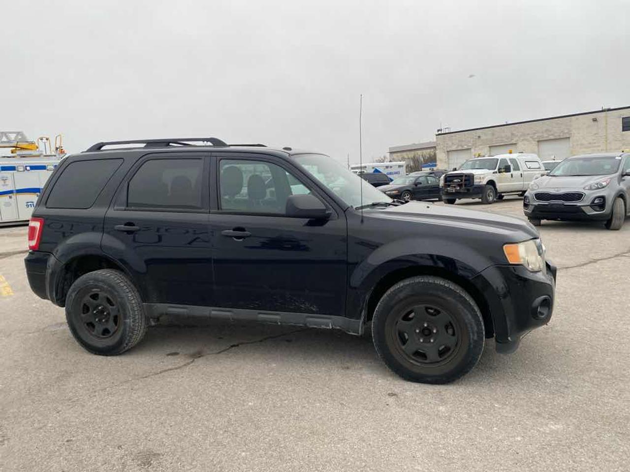 2010 Ford Escape XLT Photo