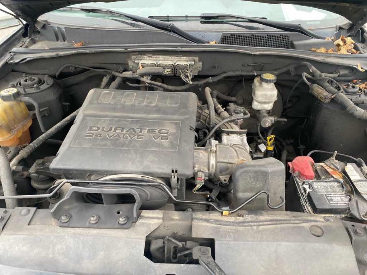 2010 Ford Escape XLT - Photo #7