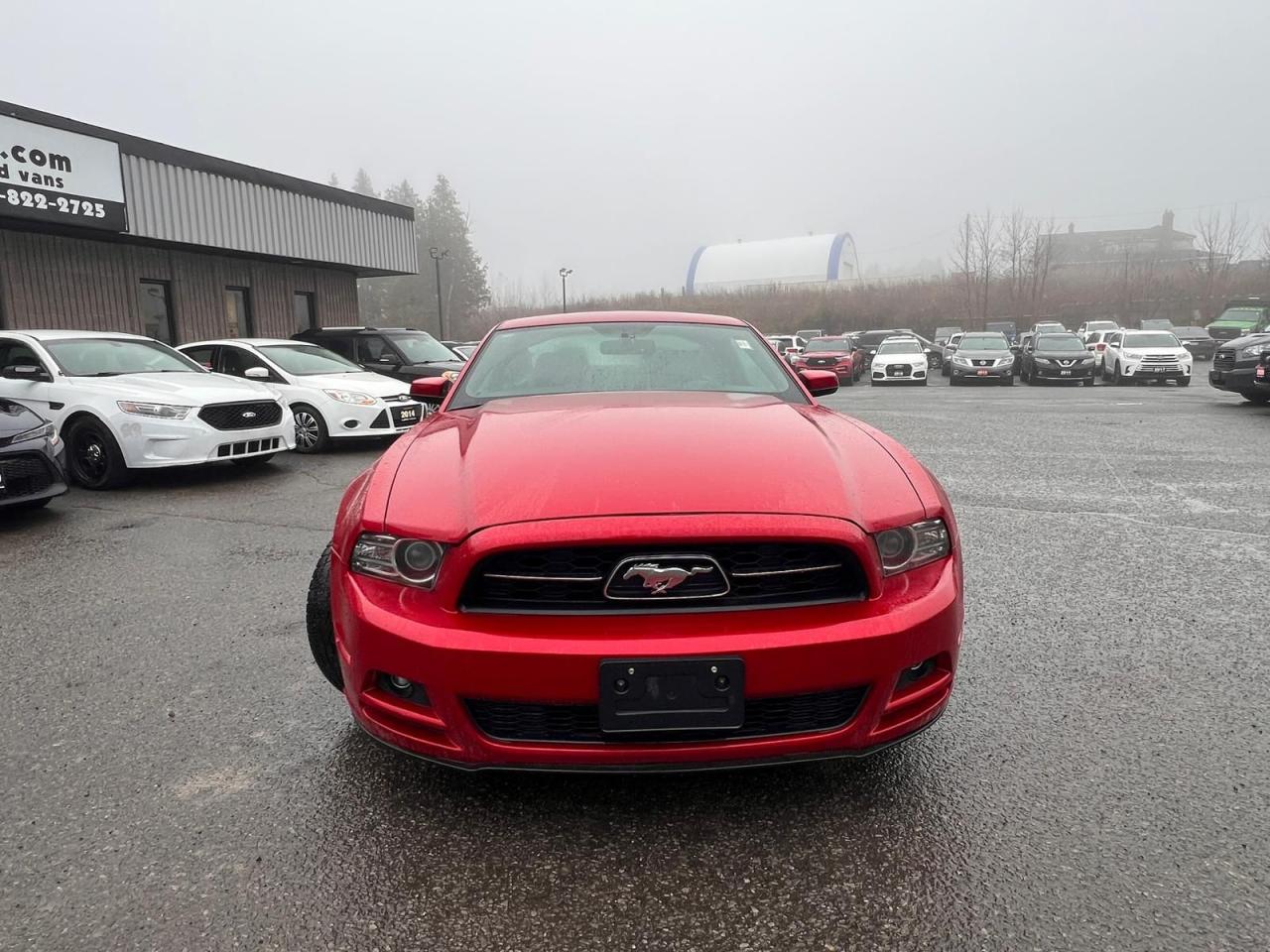 2013 Ford Mustang V6 Premium - Photo #8