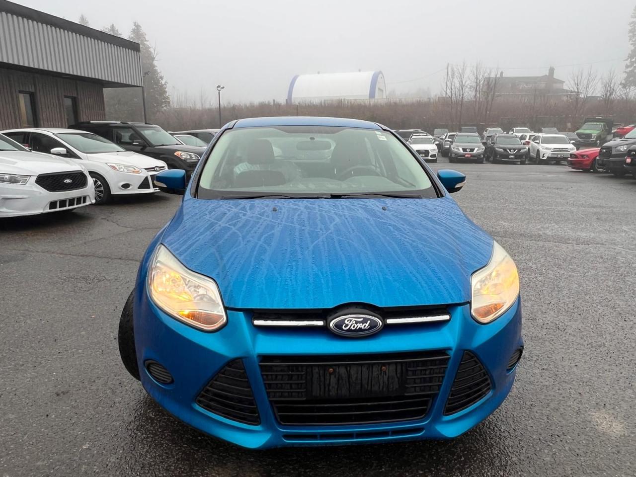 2013 Ford Focus SE - Photo #6