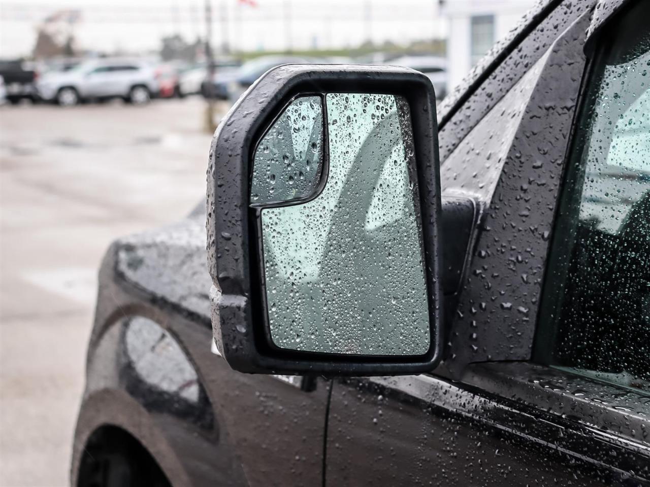 2017 Ford F-150 XLT | You Safety it You Save | Photo