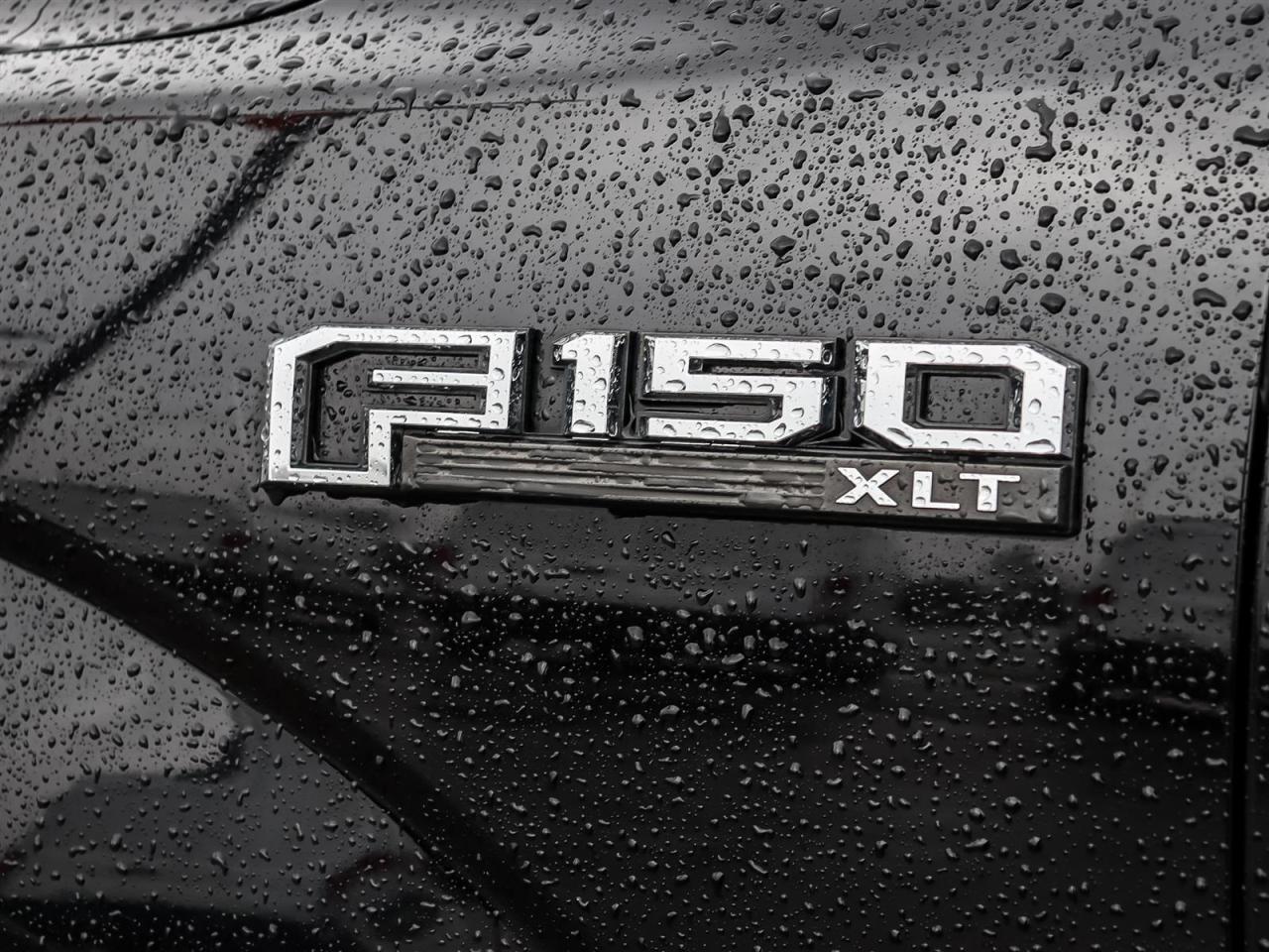 2017 Ford F-150 XLT | You Safety it You Save | Photo