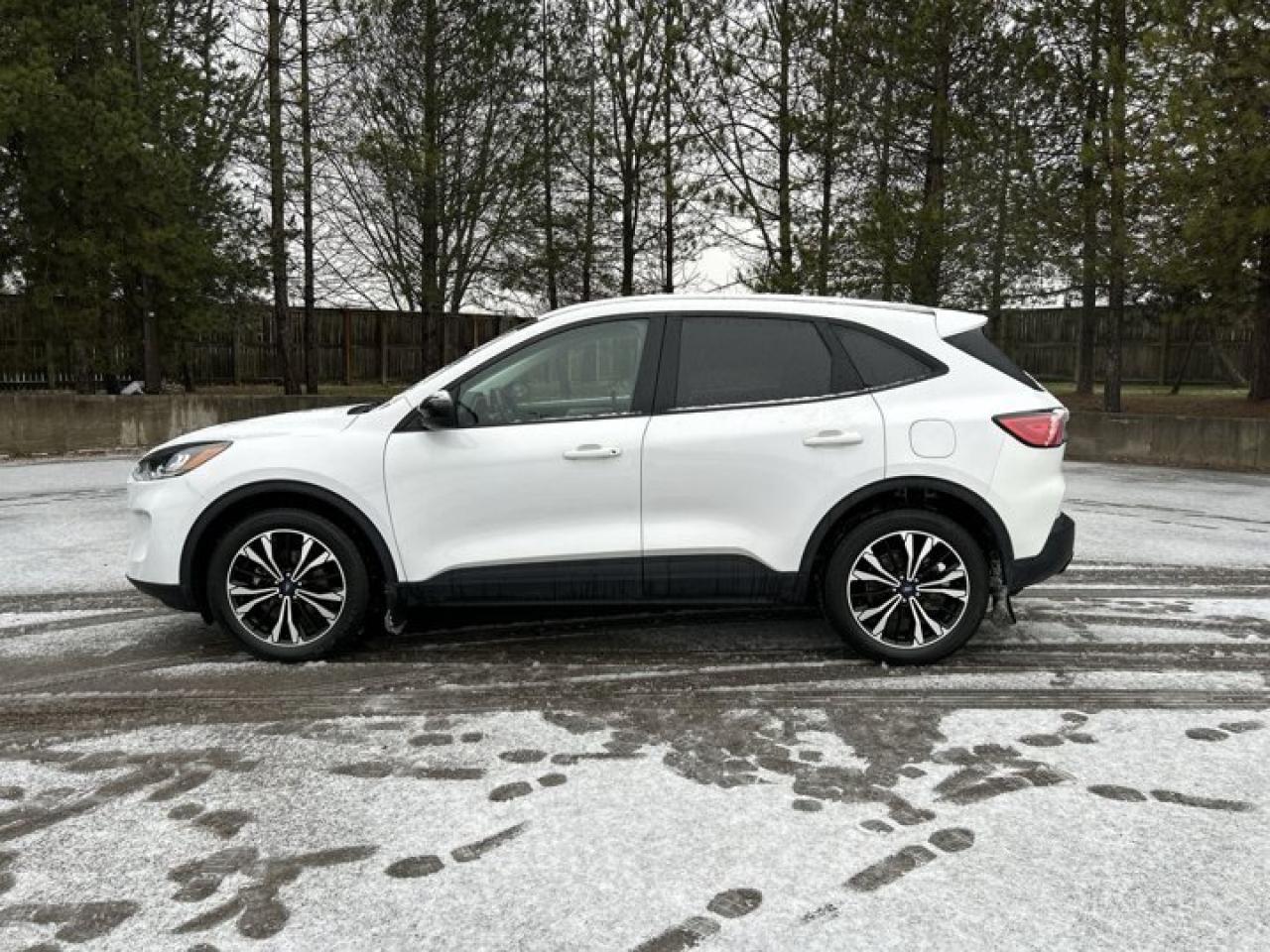 2022 Ford Escape SE | Remote Start | Heated Seats | Heated Steering Wheel Photo