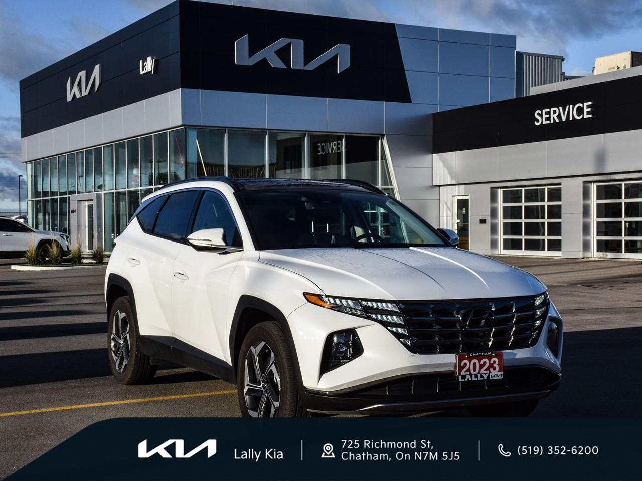 Used 2023 Hyundai Tucson Hybrid Luxury New Arrival | Clean CarFax | Low KMs | Hybrid for sale in Chatham, ON