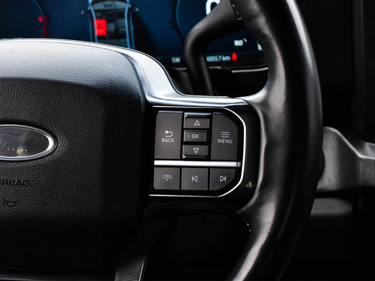 2023 Ford F-250 Platinum FX4 Super Crew 4x4 ~Pano Roof ~B&O Audio Photo