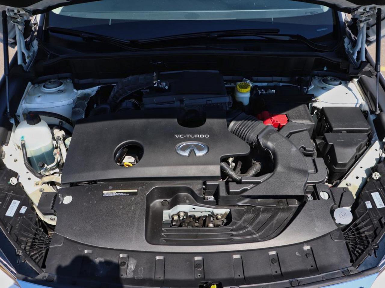 2024 Infiniti QX50 PURE  - Heated Seats -  Power Liftgate Photo