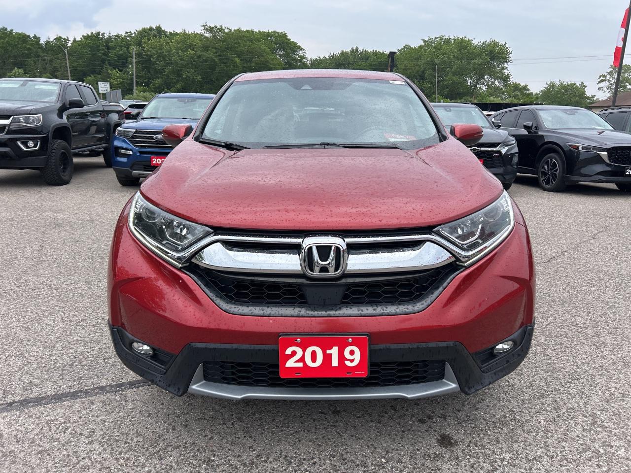2019 Honda CR-V EX-L AWD, REMOTE START, SUNROOF, LEATHER! Photo