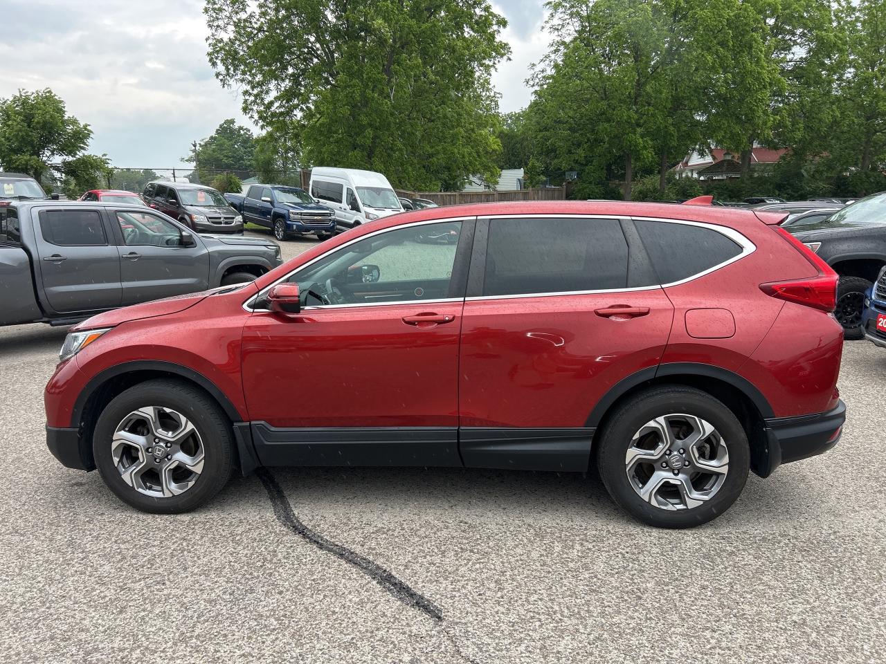 2019 Honda CR-V EX-L AWD, REMOTE START, SUNROOF, LEATHER! Photo