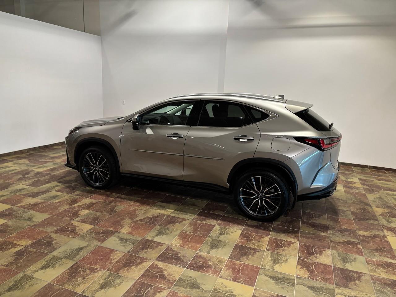 2024 Lexus NX 350 EXECUTIVE PACKAGE   CARFAX CLEAN   LOW MILEAGE Photo4