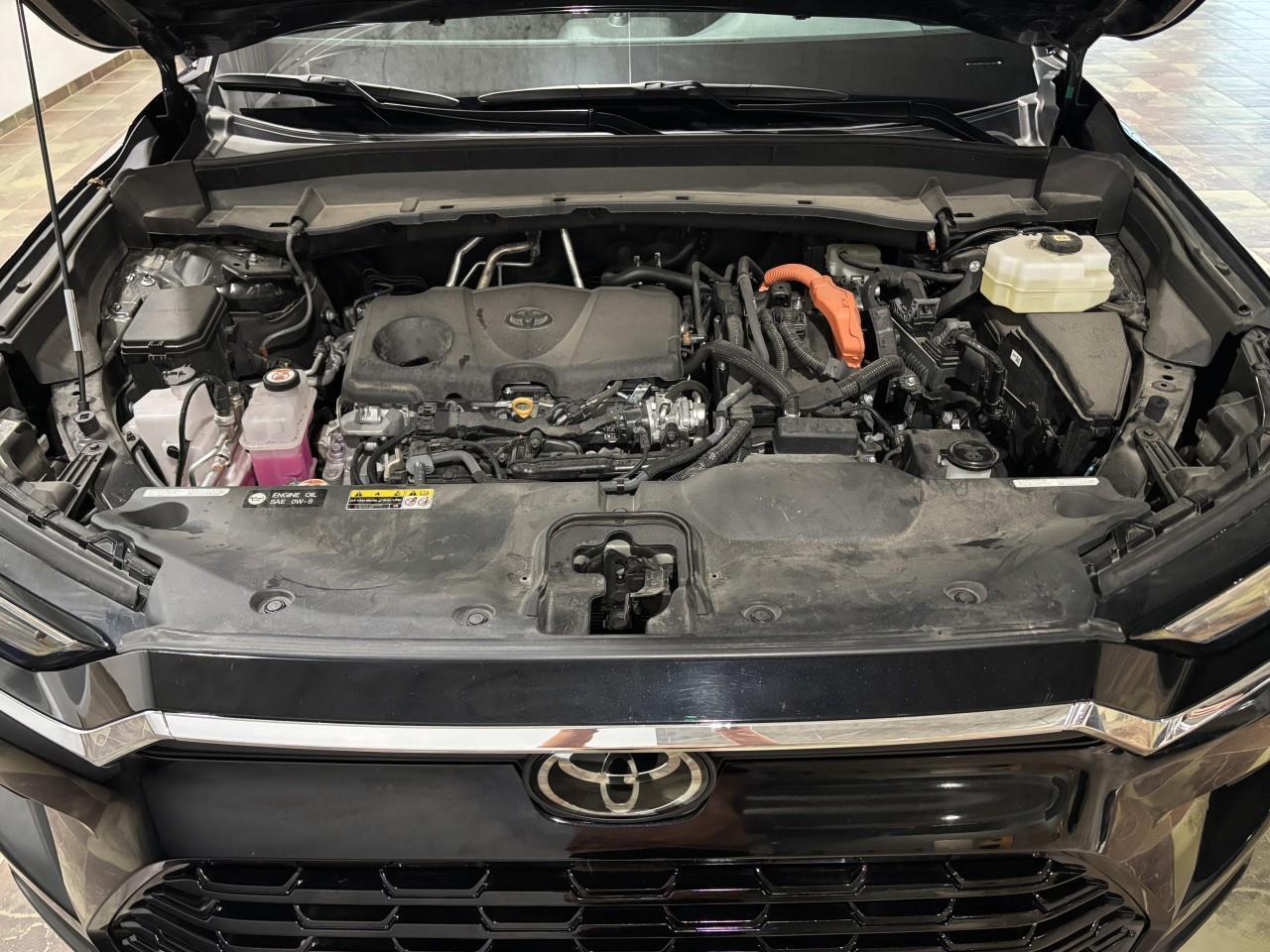 2025 Toyota Grand Highlander XLE Photo