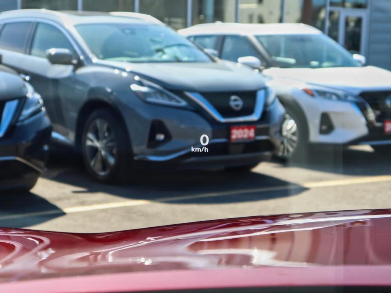 2025 Infiniti QX80 SENSORY  MASSAGE & COOLED SEATS, HUD Photo