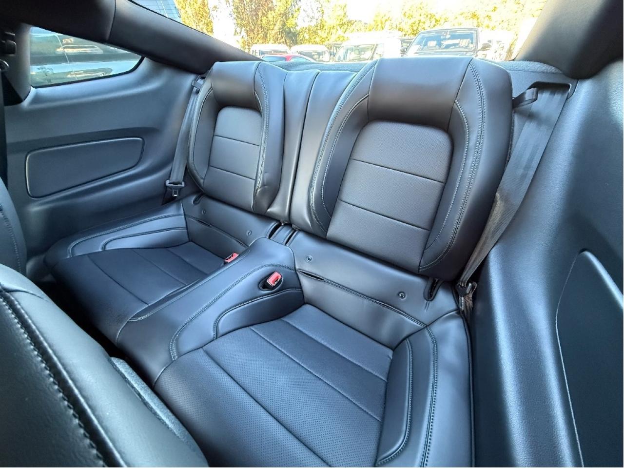 2020 Ford Mustang BULLITT Only 9,483km! Clean Carfax ServiceHistory Photo