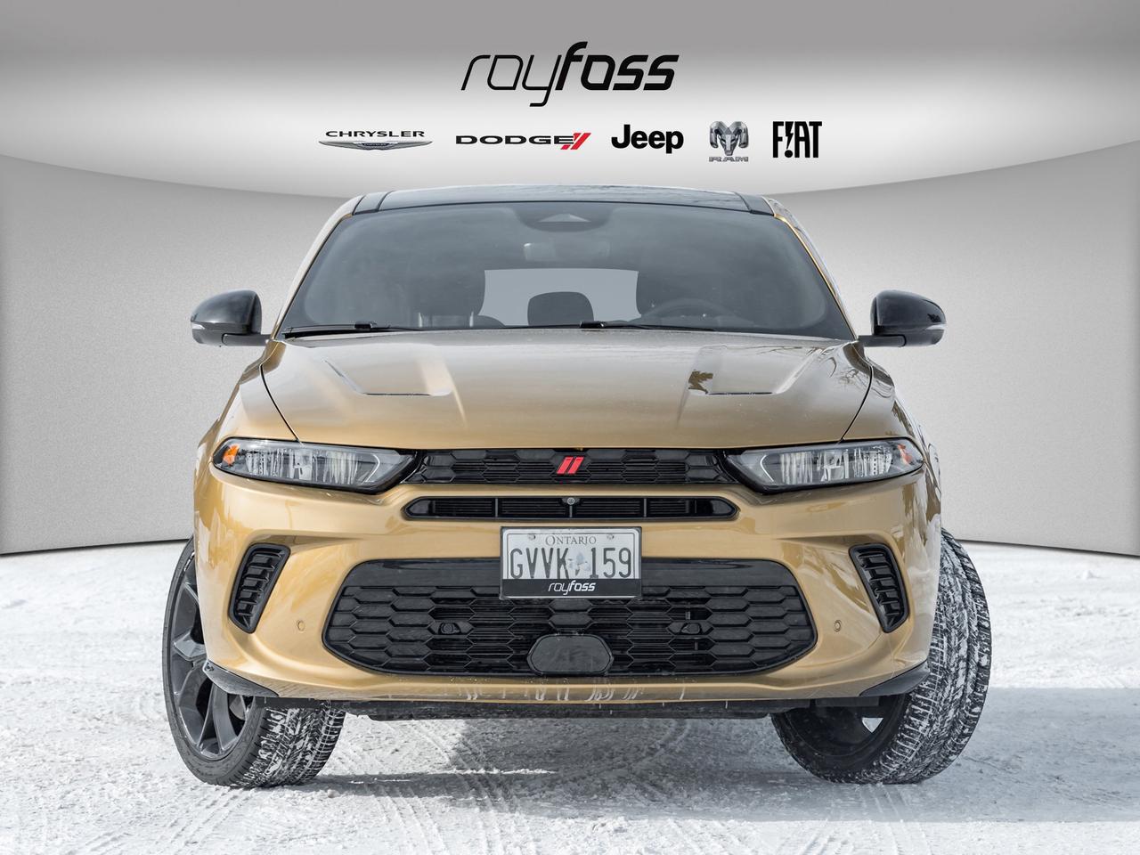 2024 Dodge Hornet R/T PLUS Photo