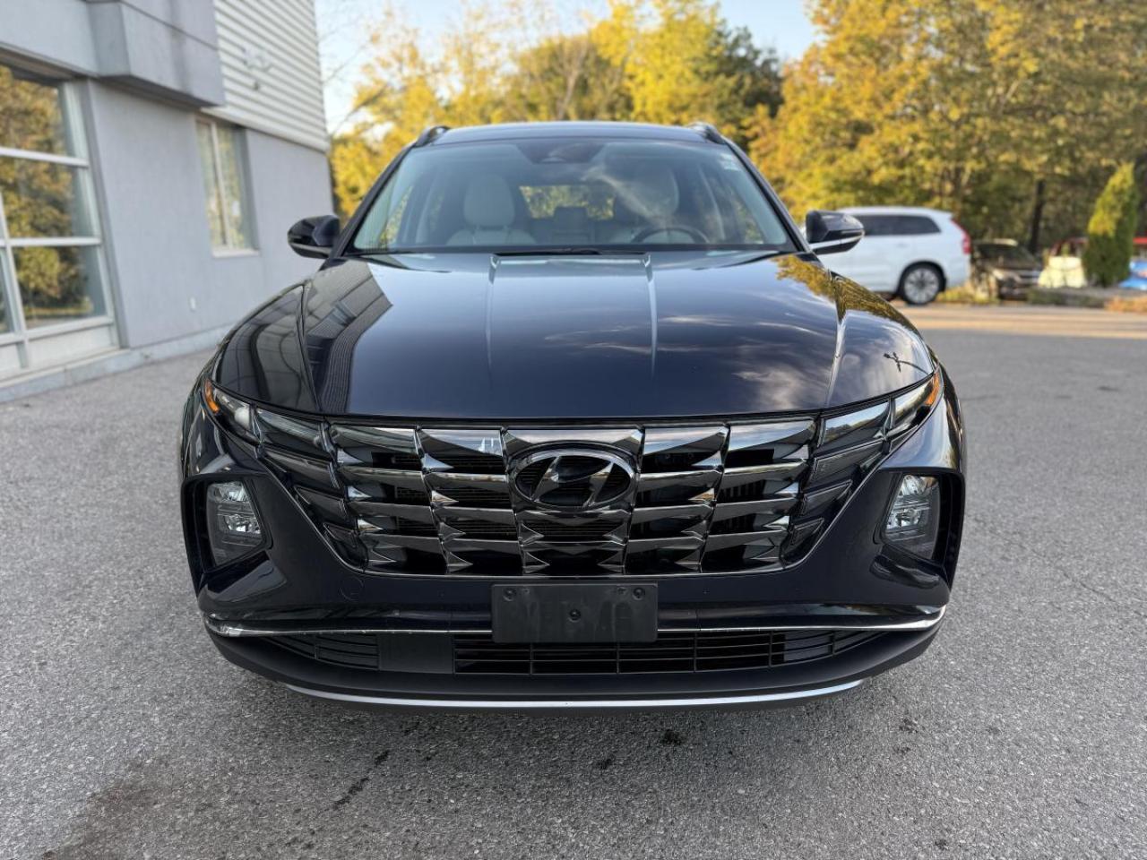 2023 Hyundai Tucson Hybrid Luxury AWD Photo