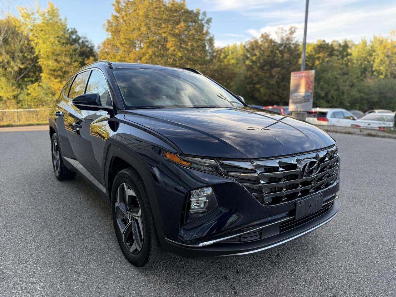 2023 Hyundai Tucson Hybrid Luxury AWD Photo2