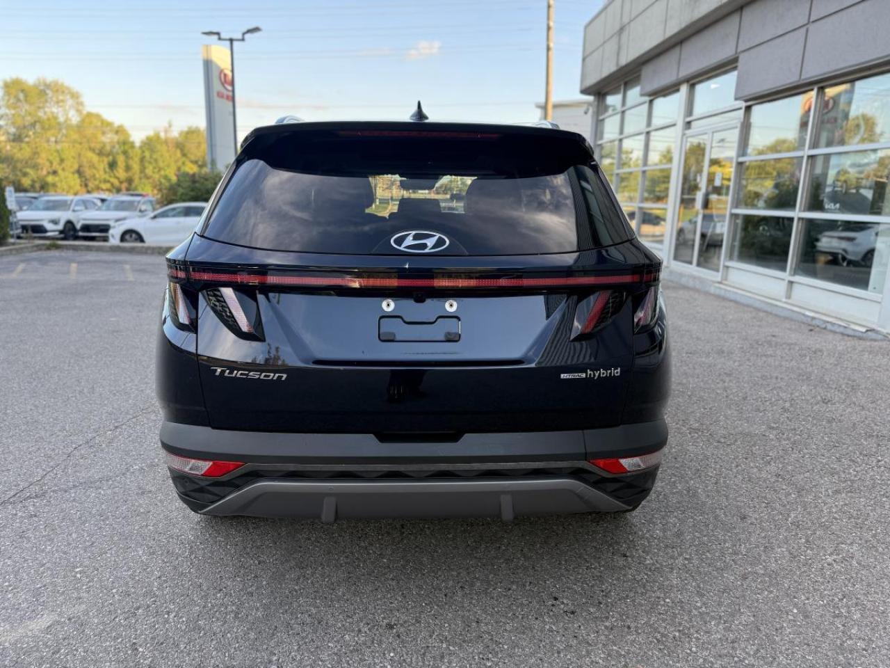 2023 Hyundai Tucson Hybrid Luxury AWD Photo