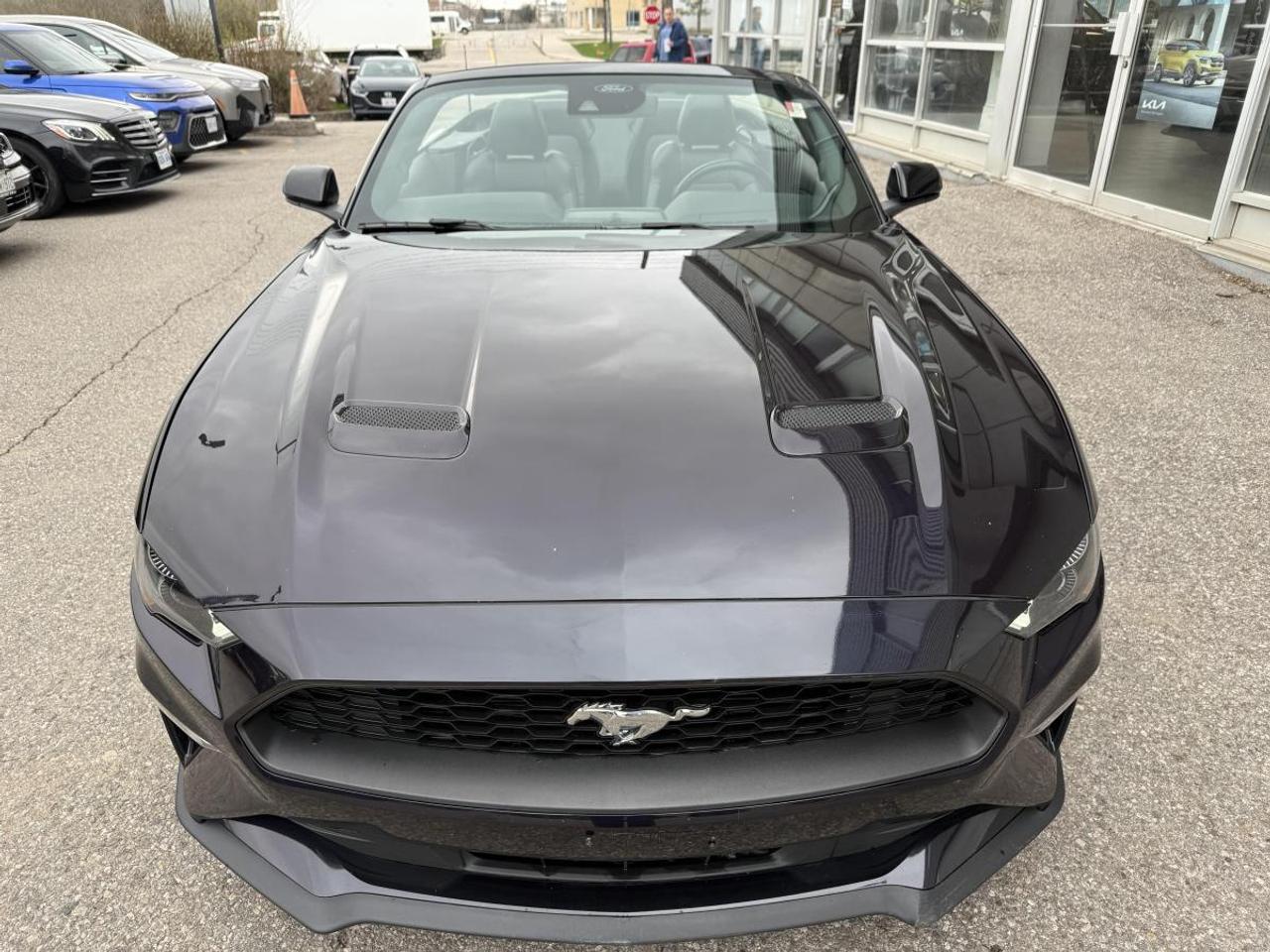 2023 Ford Mustang EcoBoost Premium Fastback Photo