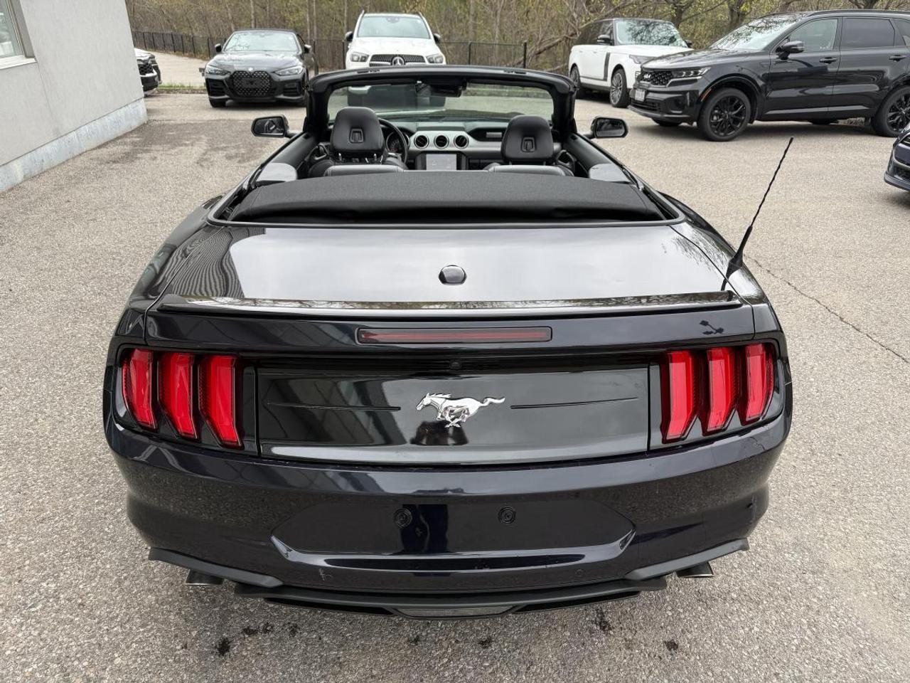 2023 Ford Mustang EcoBoost Premium Fastback Photo