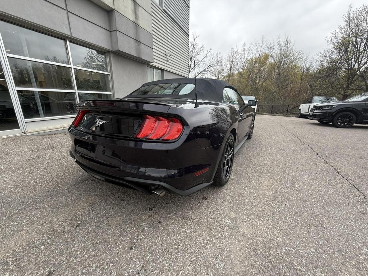 2023 Ford Mustang EcoBoost Premium Fastback Photo