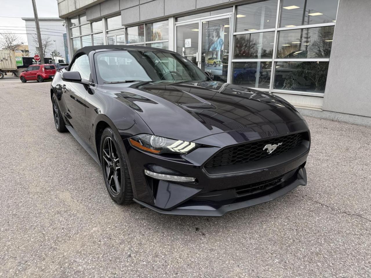 2023 Ford Mustang EcoBoost Premium Fastback Photo