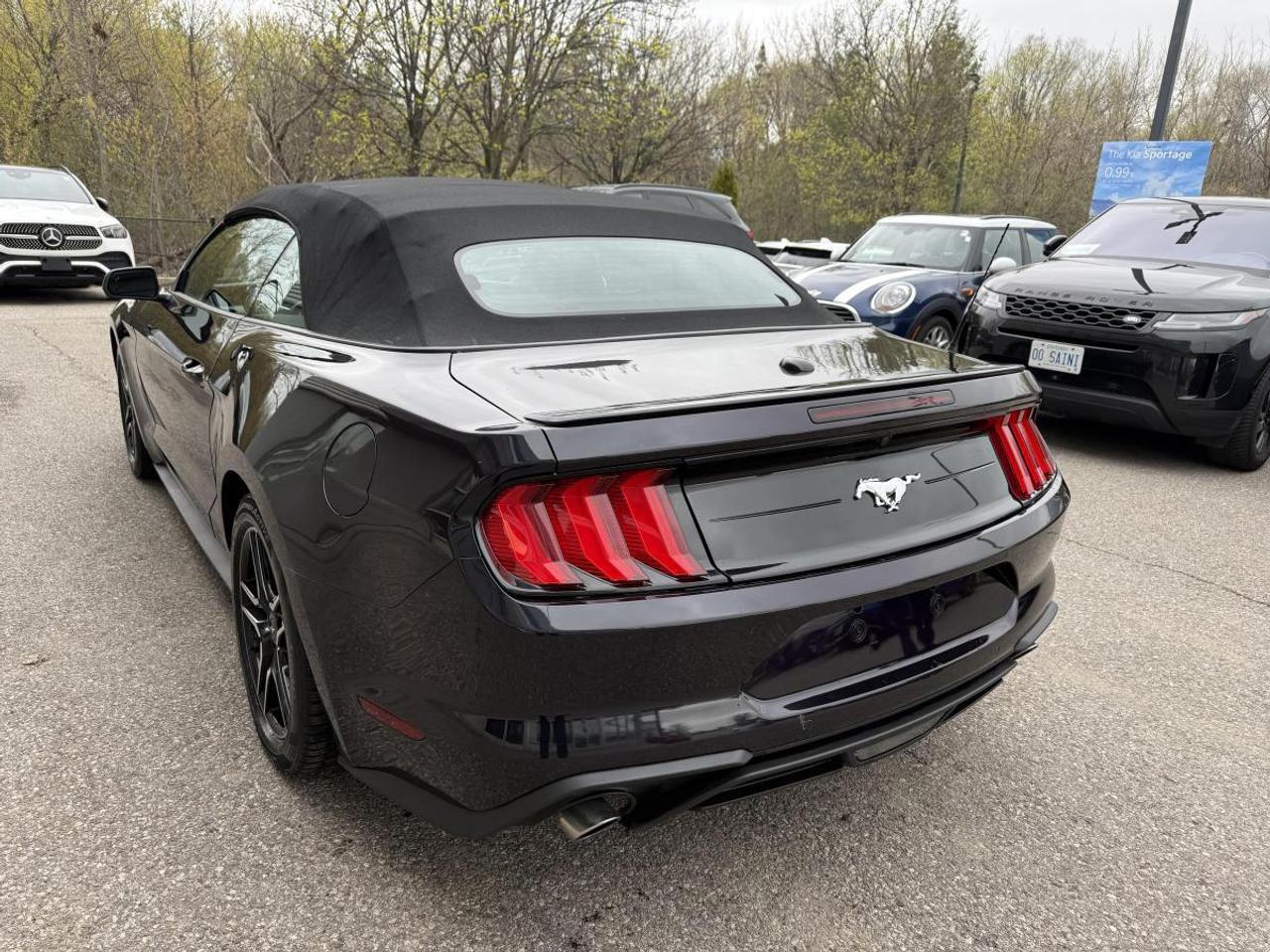 2023 Ford Mustang EcoBoost Premium Fastback Photo