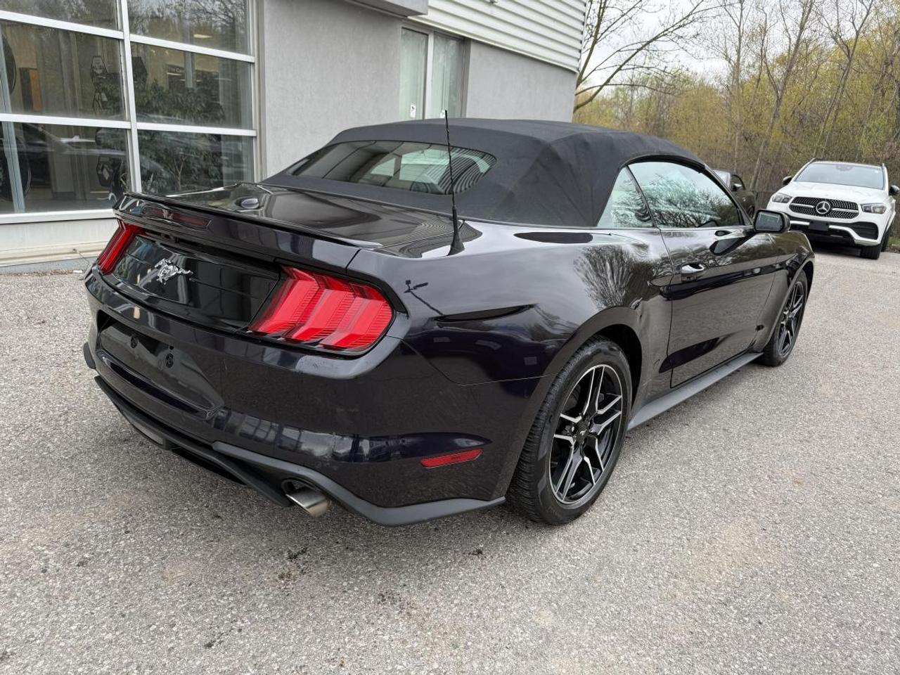 2023 Ford Mustang EcoBoost Premium Fastback Photo